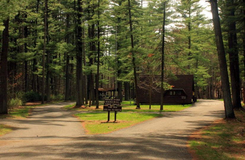 Rocky Arbor State Park, Wisconsin, USA